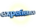 Experience